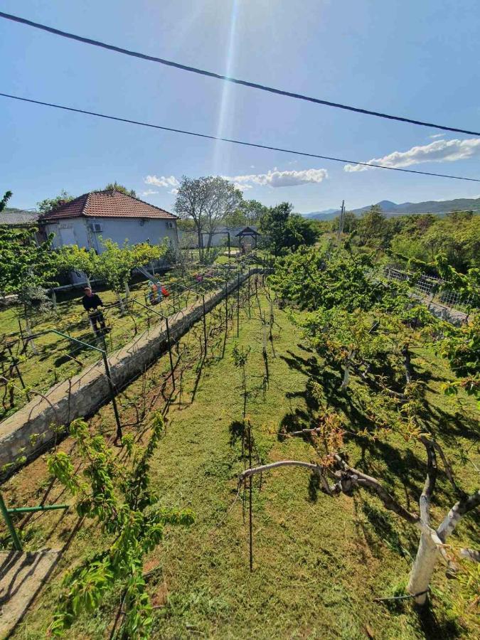 Green House Pejovic Подгорица Экстерьер фото